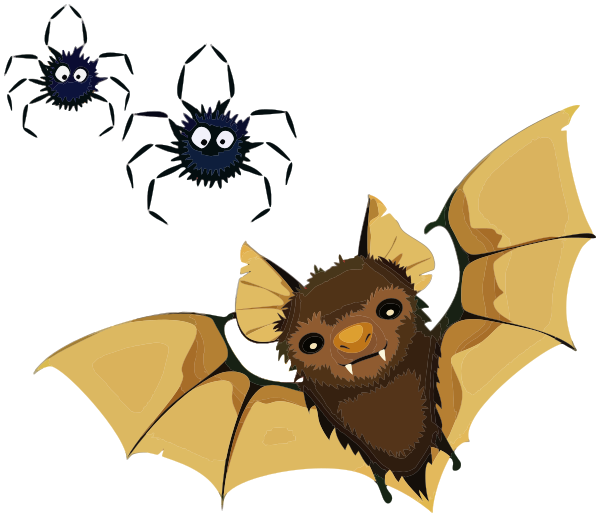 Vampire Bat and Spiders