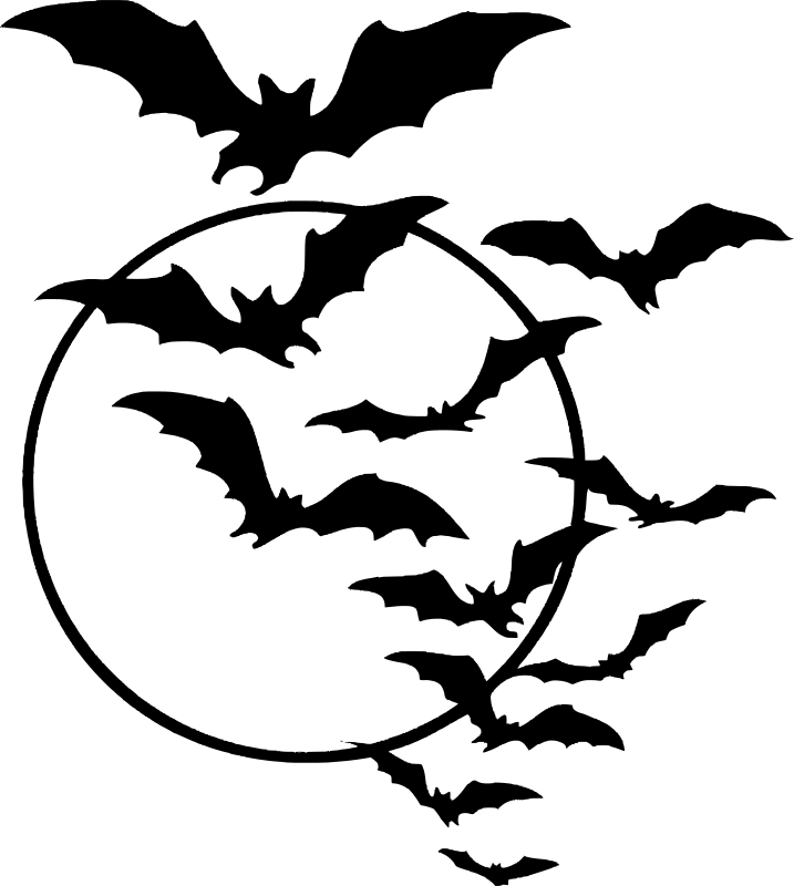 bats over moon