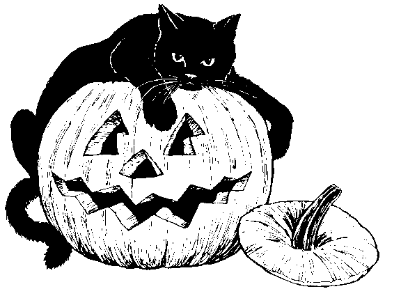 black cat pumpkin