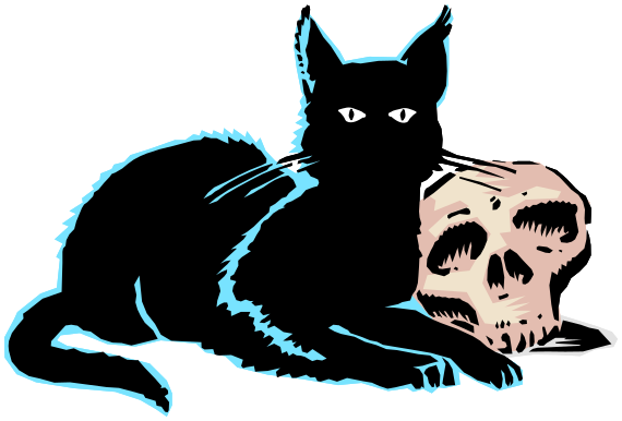 black cat with skull