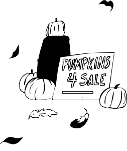 pumpkins 4 sale
