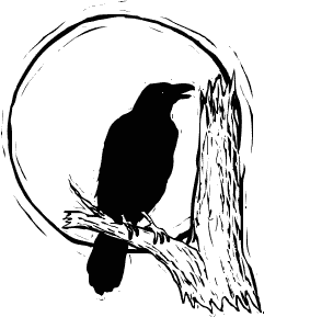 raven in moonlight