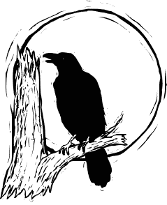 raven in moonlight right