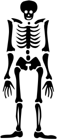 skeleton I