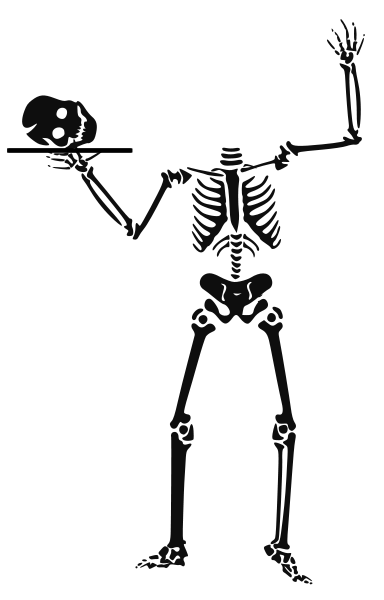 skeleton serving skull