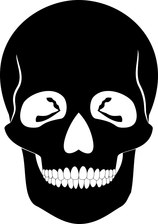 skull human