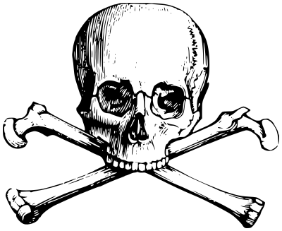 skull n bones