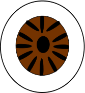 icon eyeball