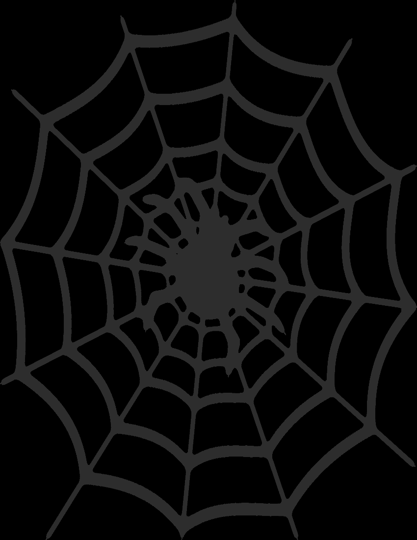 spider in web dark
