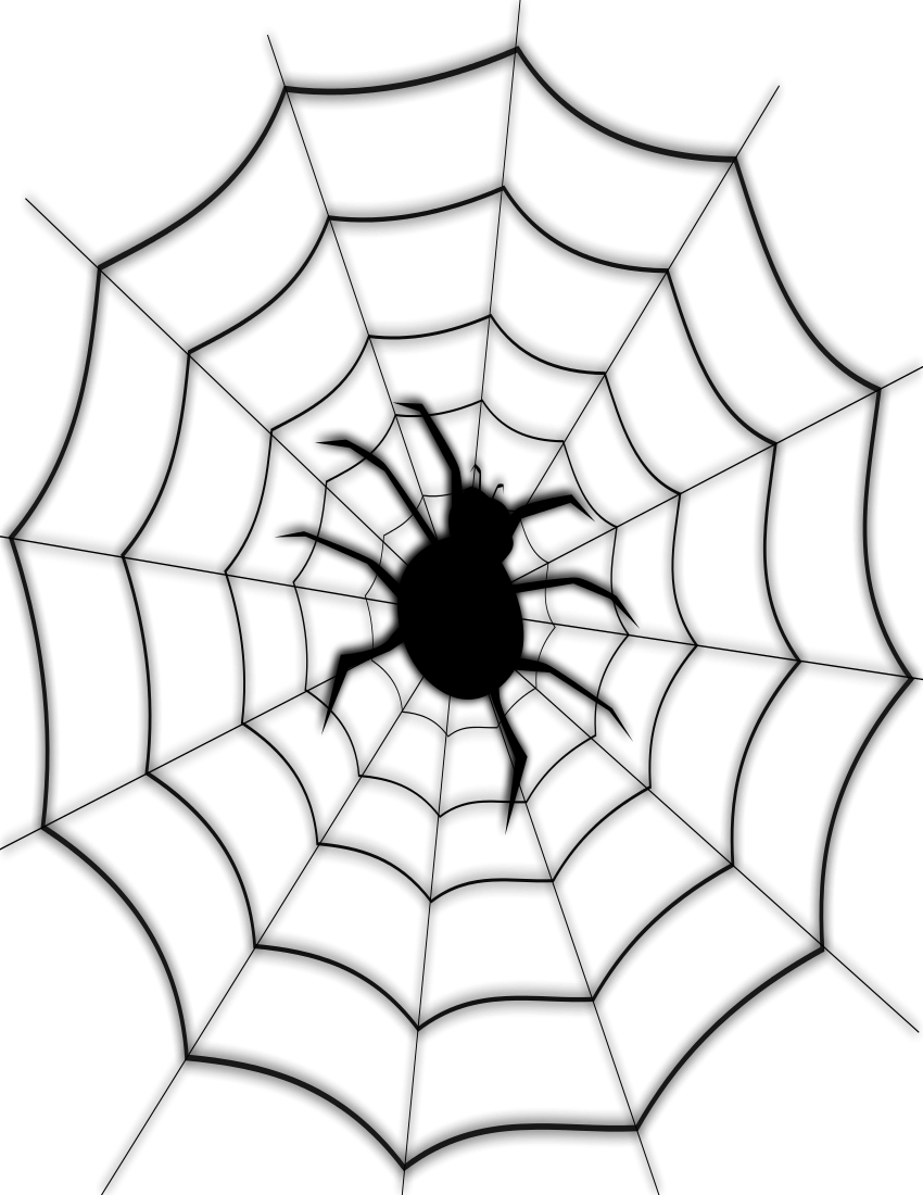 spider in web page