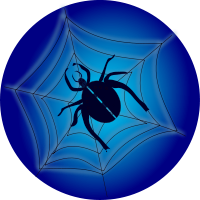 spider on web circle