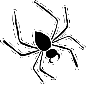 spider 2