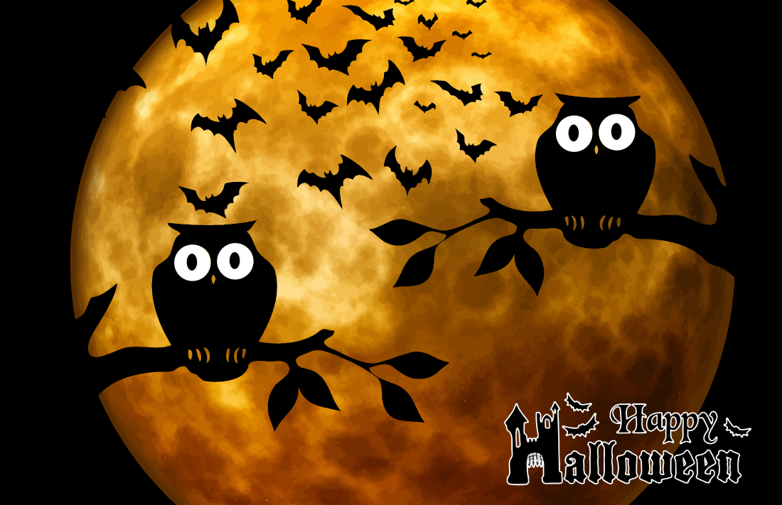 Halloween owls bats