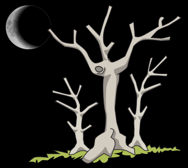 spooky trees dark