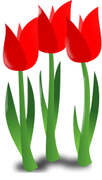 mothers day icon tulips