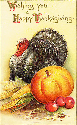 turkey w pumpkin card