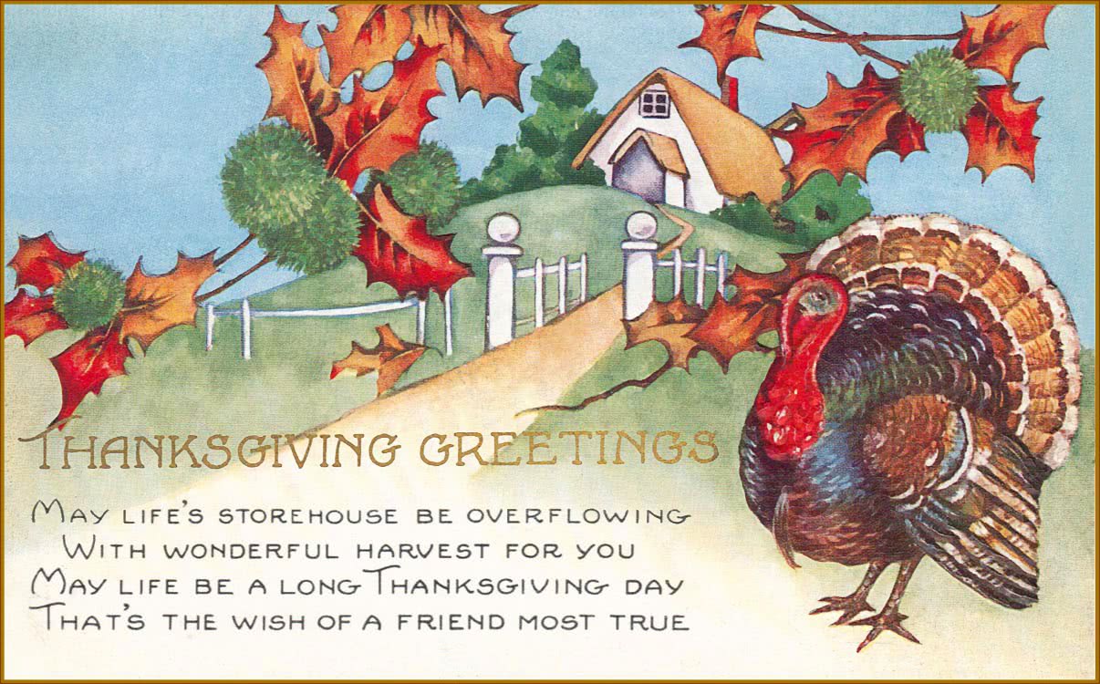 Thanksgiving greeting turkey