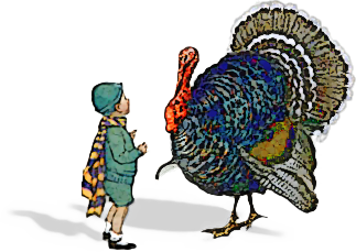 boy confronting large turkey