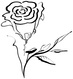 rose lineart