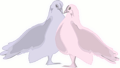 blue and pink doves