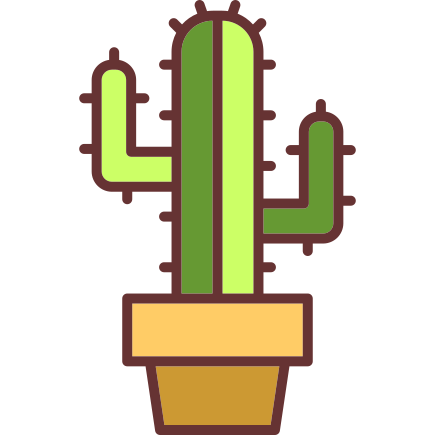 cactus potted