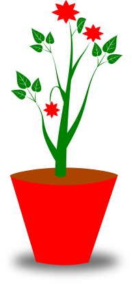 flower pot red