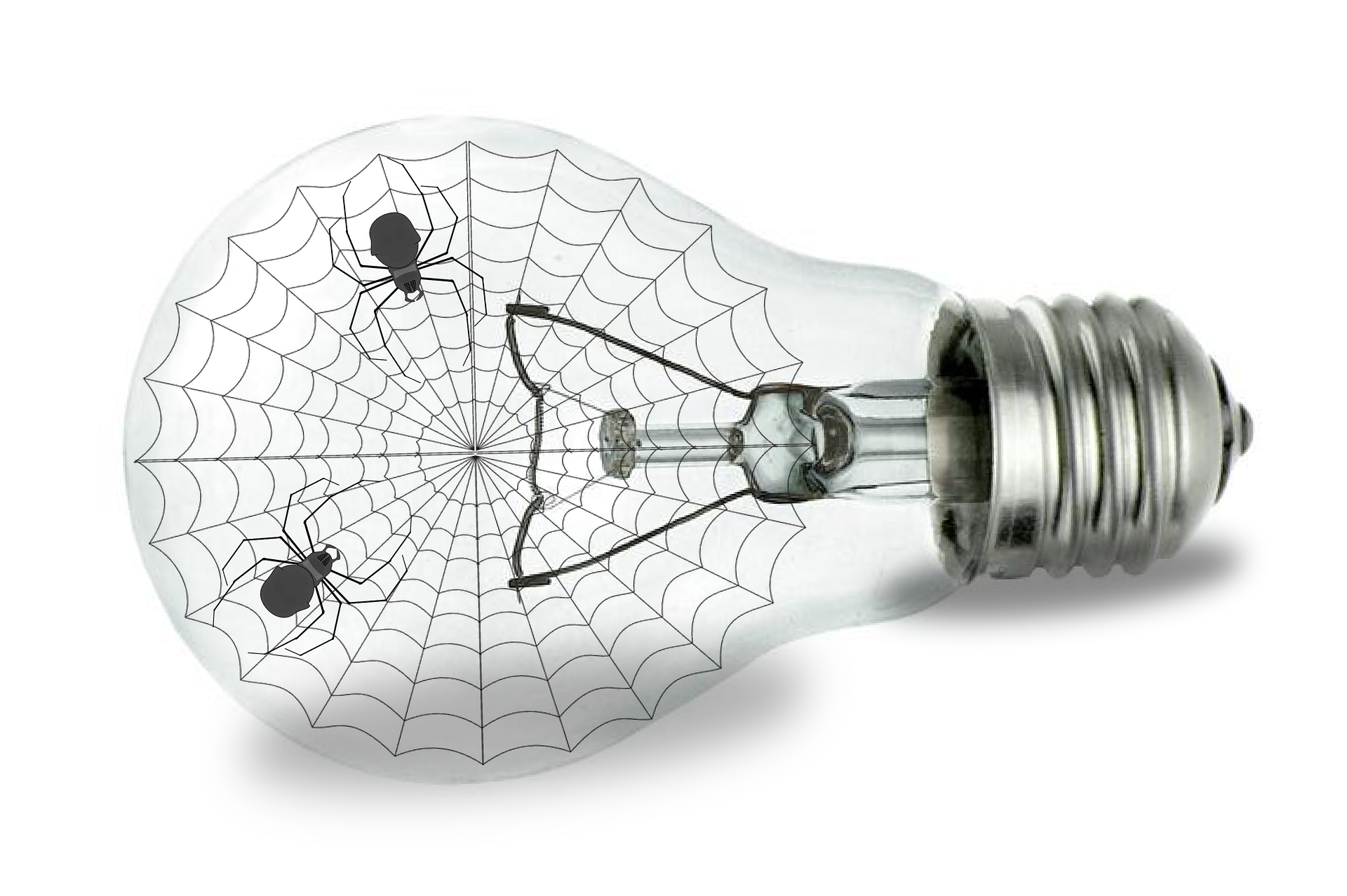 lamp-spiders-widescreen