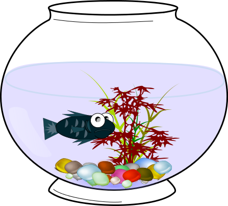 fish bowl 2