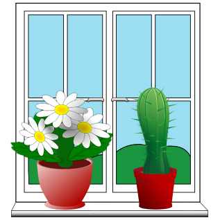 window-with-potted-plants