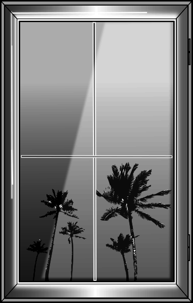 window palm trees