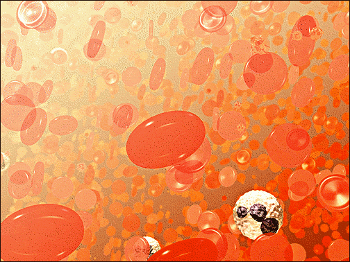 red blood cells 2