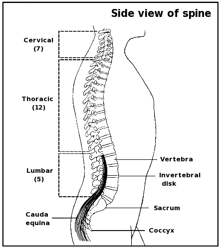 spine label