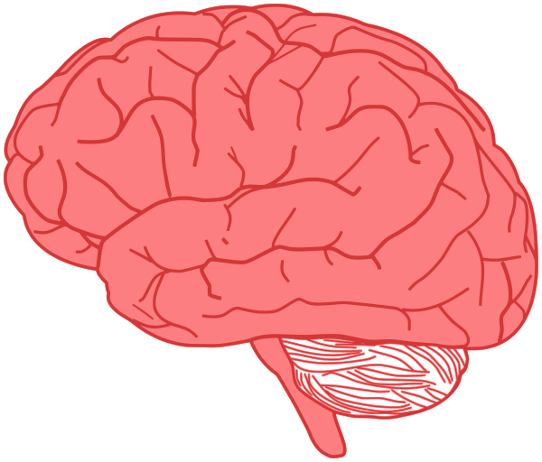 brain vector pink