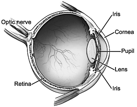 eye diagram