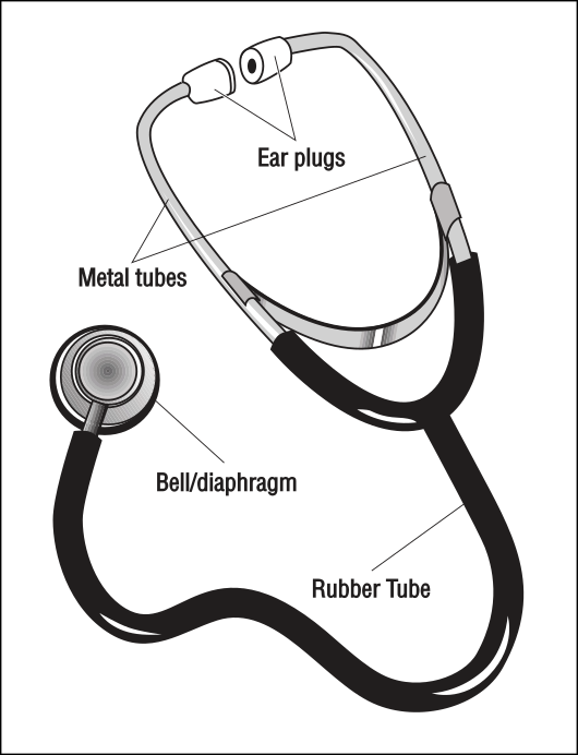 stethescope diagram