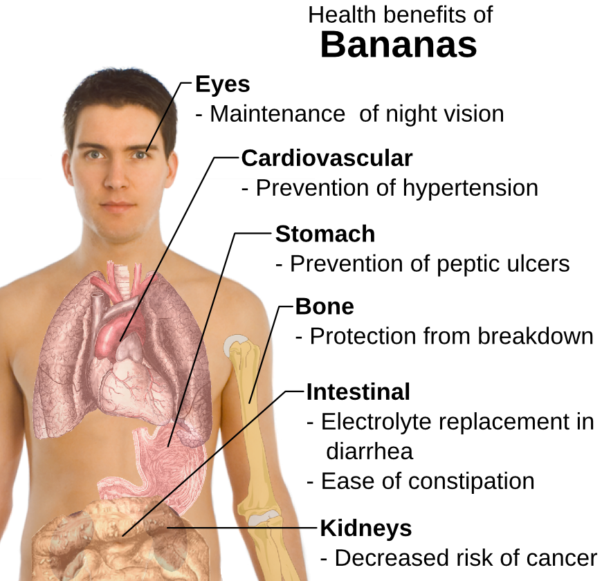 bananas Health benefit