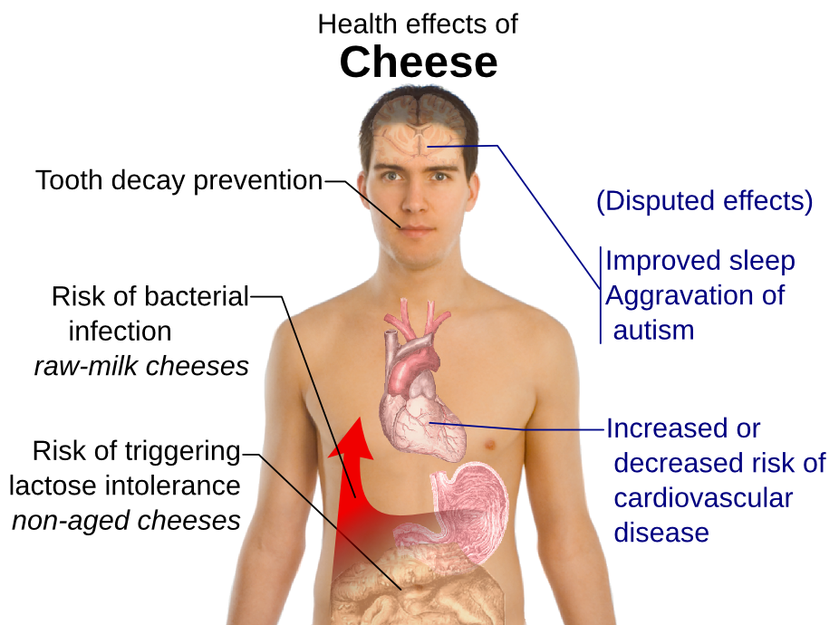 cheese health effects
