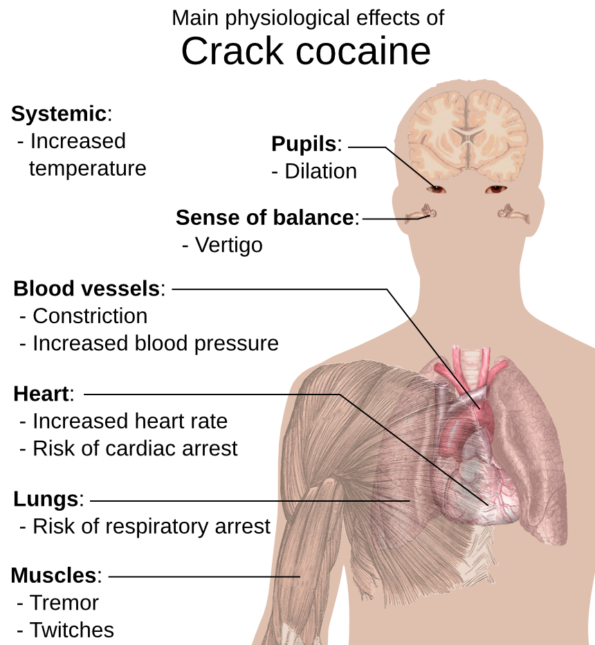 crack cocaine physiological effects