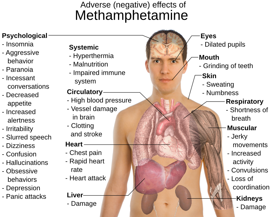 metamphetamine effects
