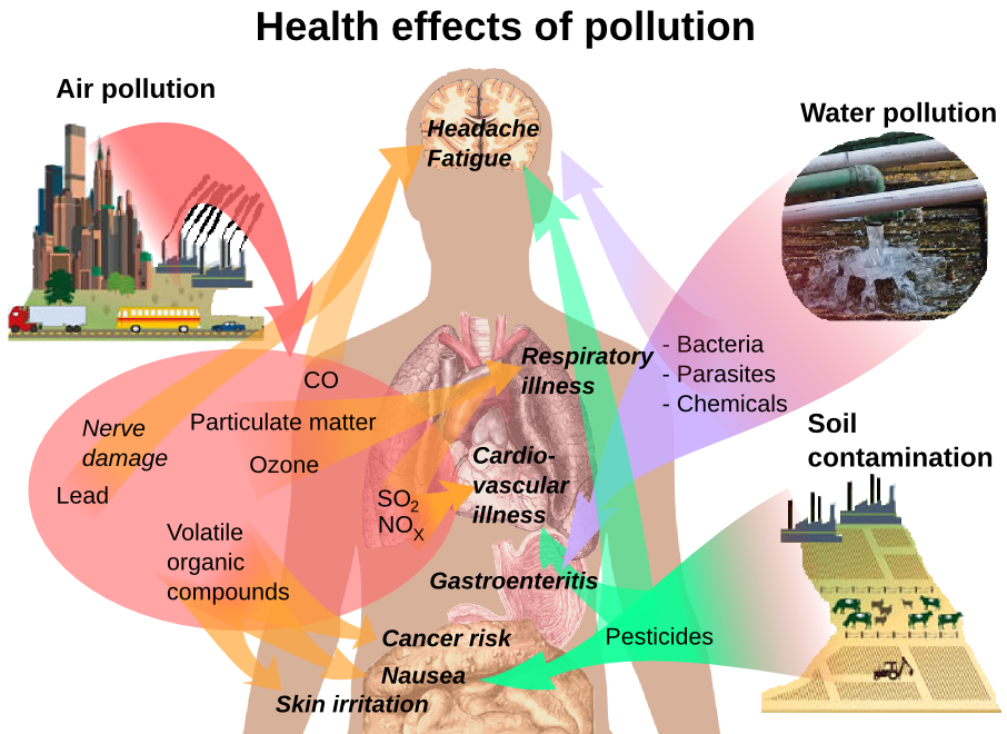 pollution health effects