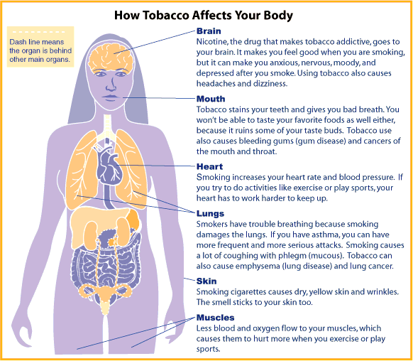 tobacco effects on body
