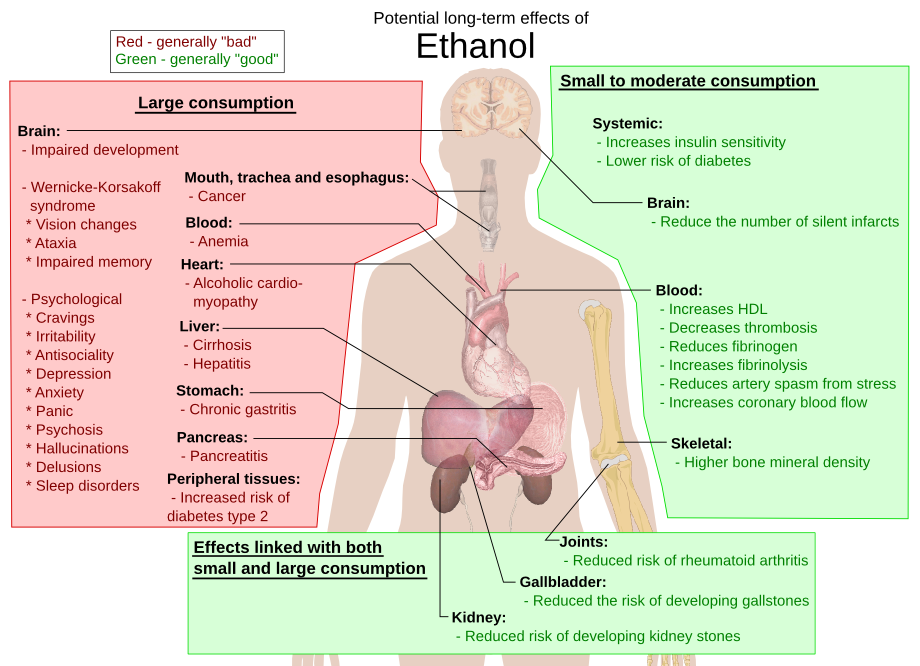 ethanol possible long-term effects