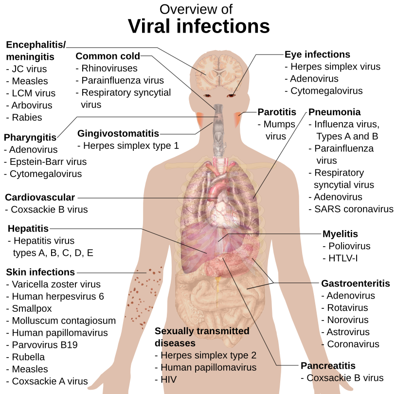 Viral infections and involved species