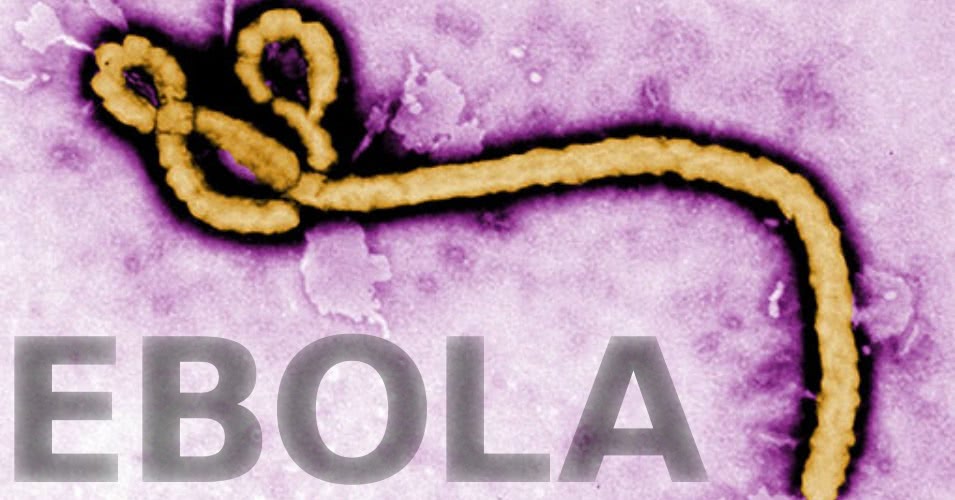 ebola labeled