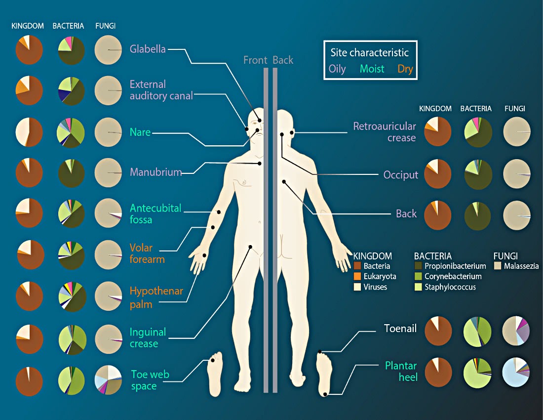 Microbiome Sites