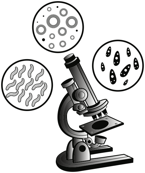 microscope w bugs virus