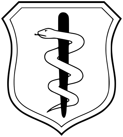 Paramedic Badge