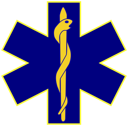 paramedic gold trim
