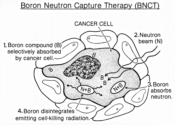 Boron neutron capture therapy
