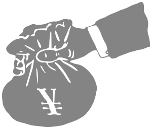 Money bag Yuan gray